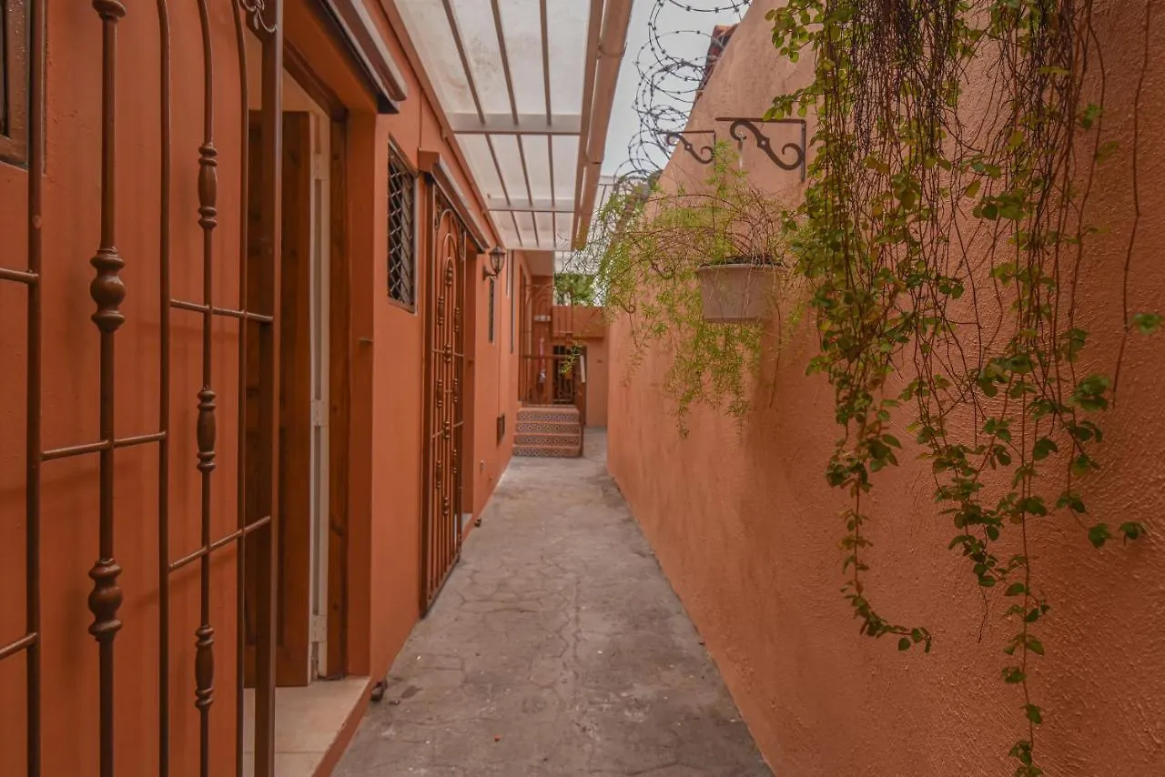 Ph 19 Guesthouse Hotel In Gazcue Santo Domingo